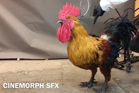 特效化妆-藤壶寄生效果展示