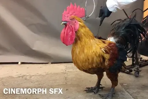 特效化妆
